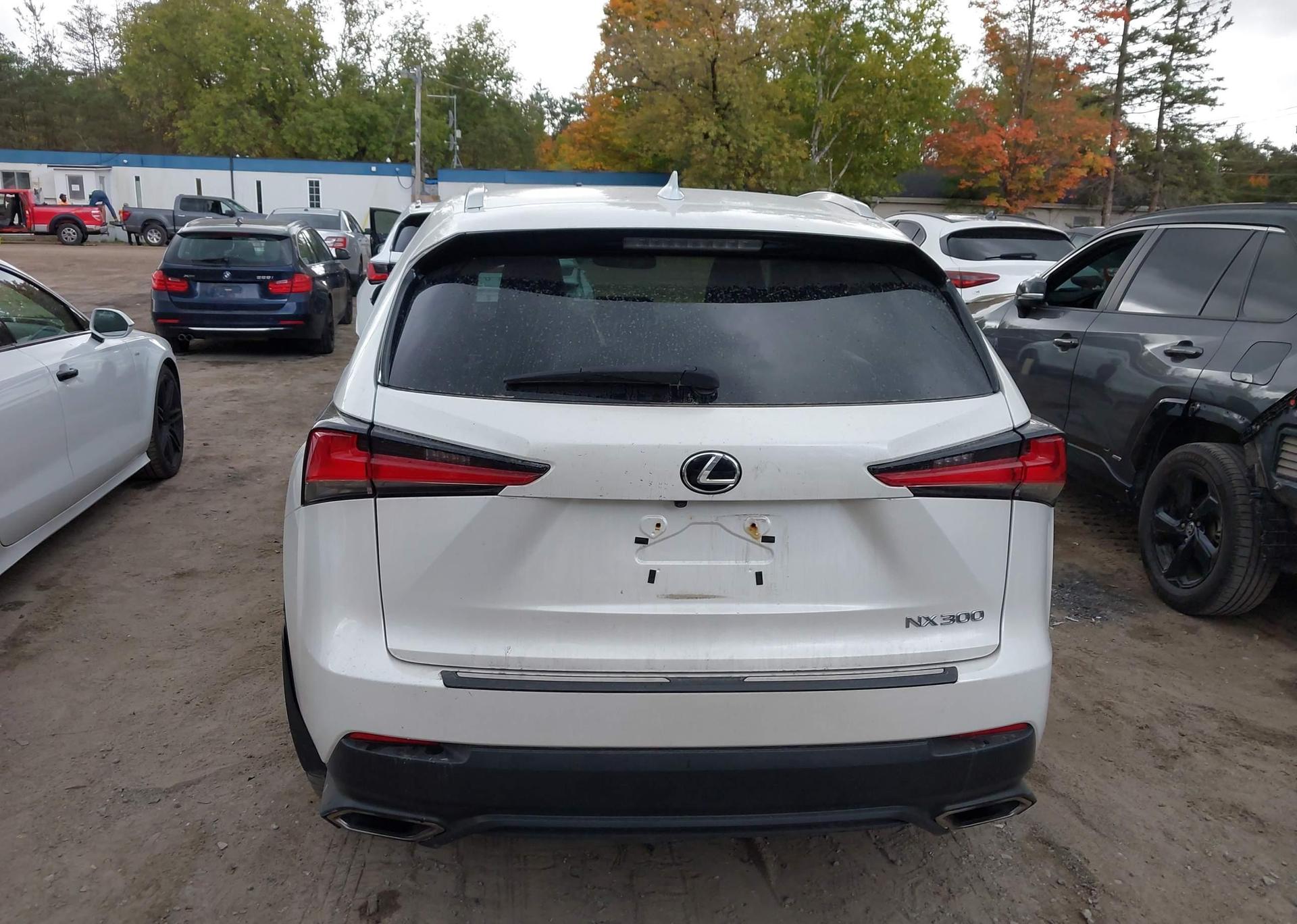 2019 LEXUS NX 300