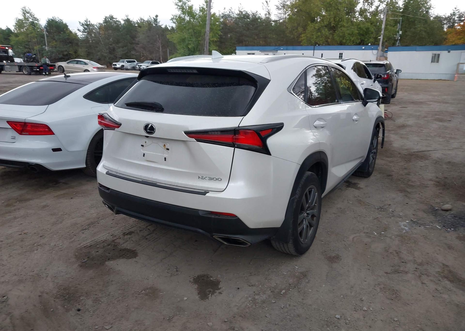 2019 LEXUS NX 300
