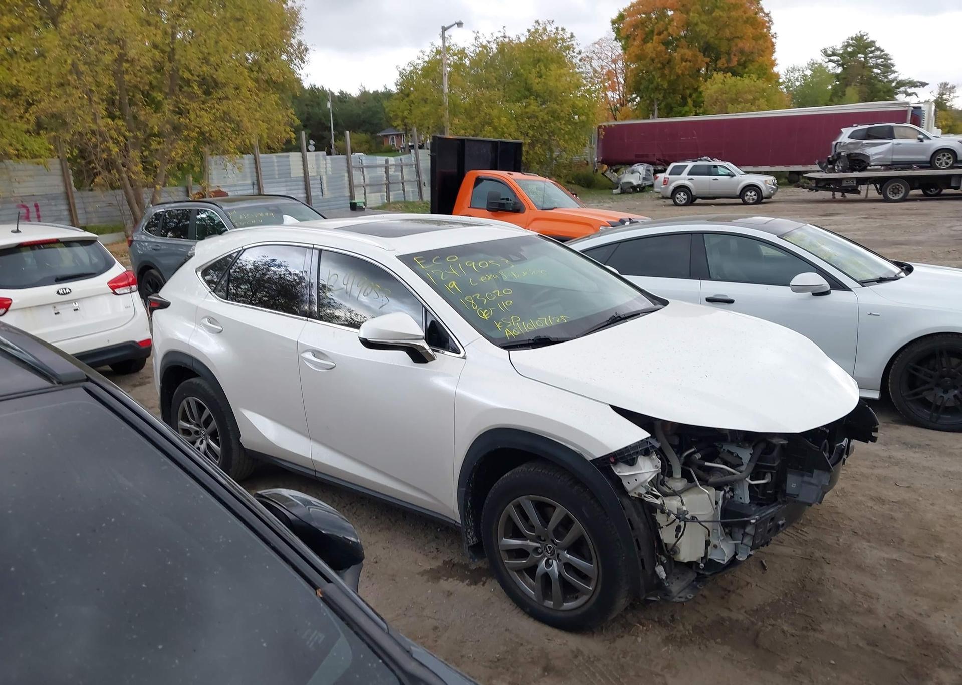 2019 LEXUS NX 300