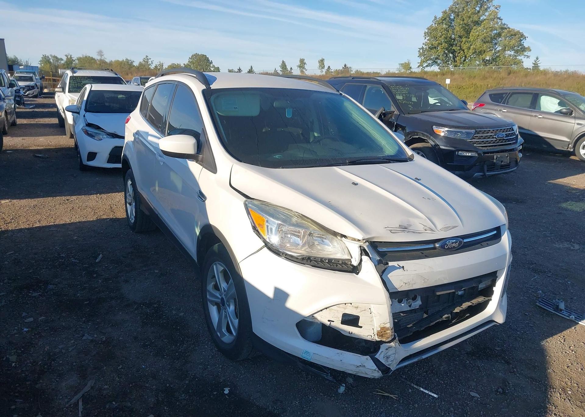 2014 FORD ESCAPE SE