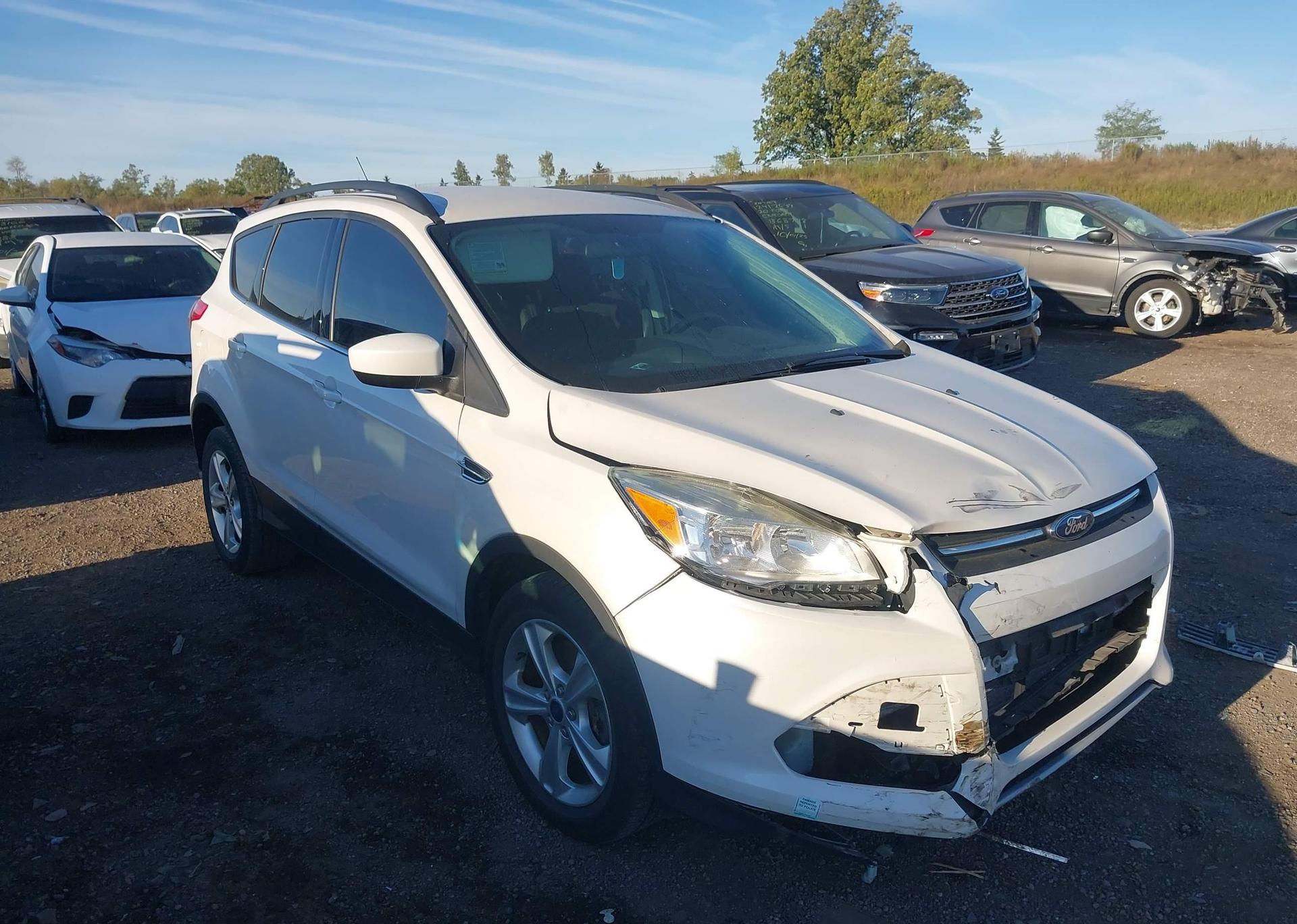 2014 FORD ESCAPE SE