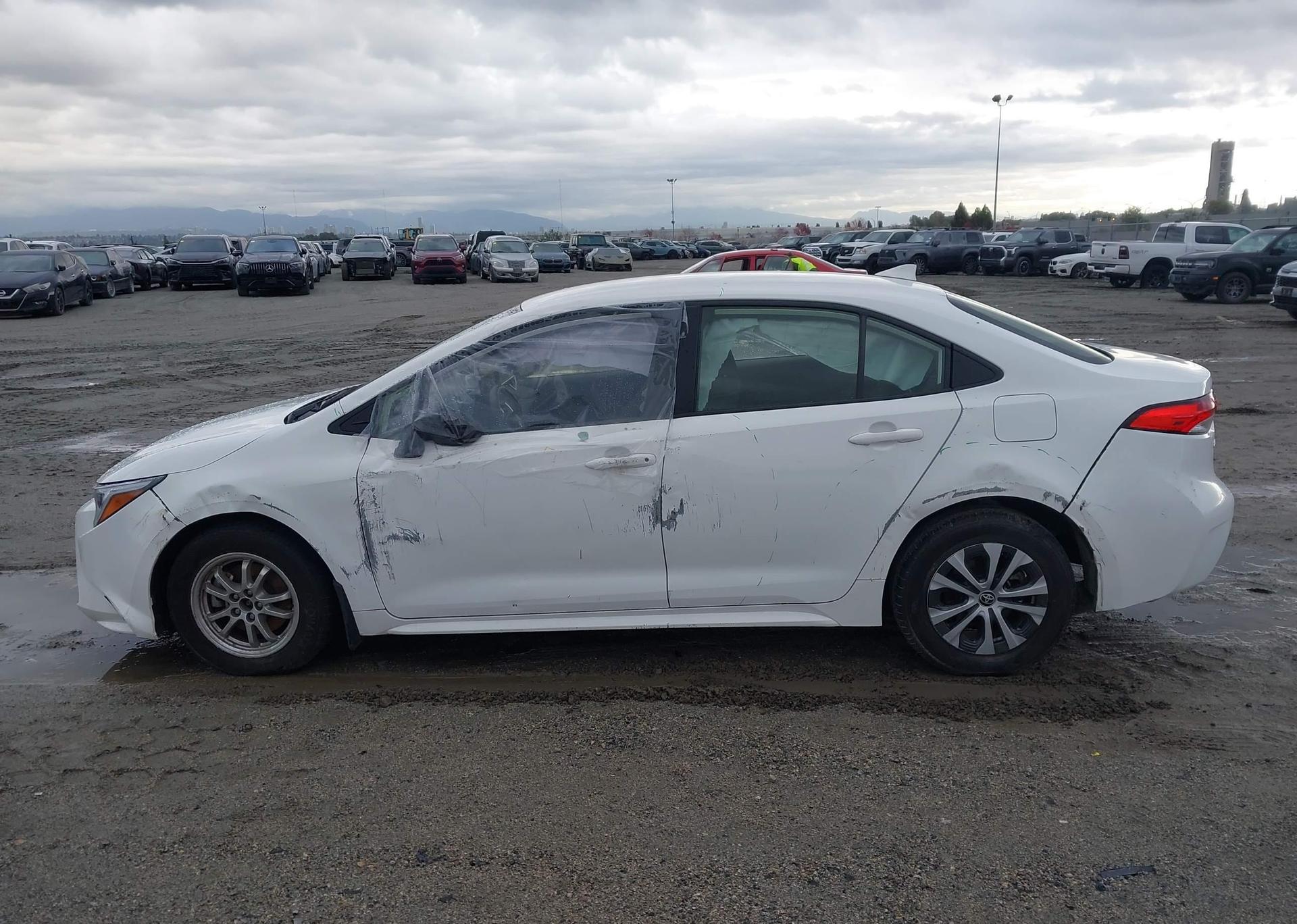 2023 TOYOTA COROLLA LE