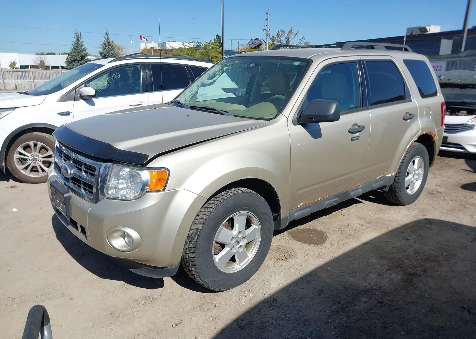 2011 FORD ESCAPE XLT