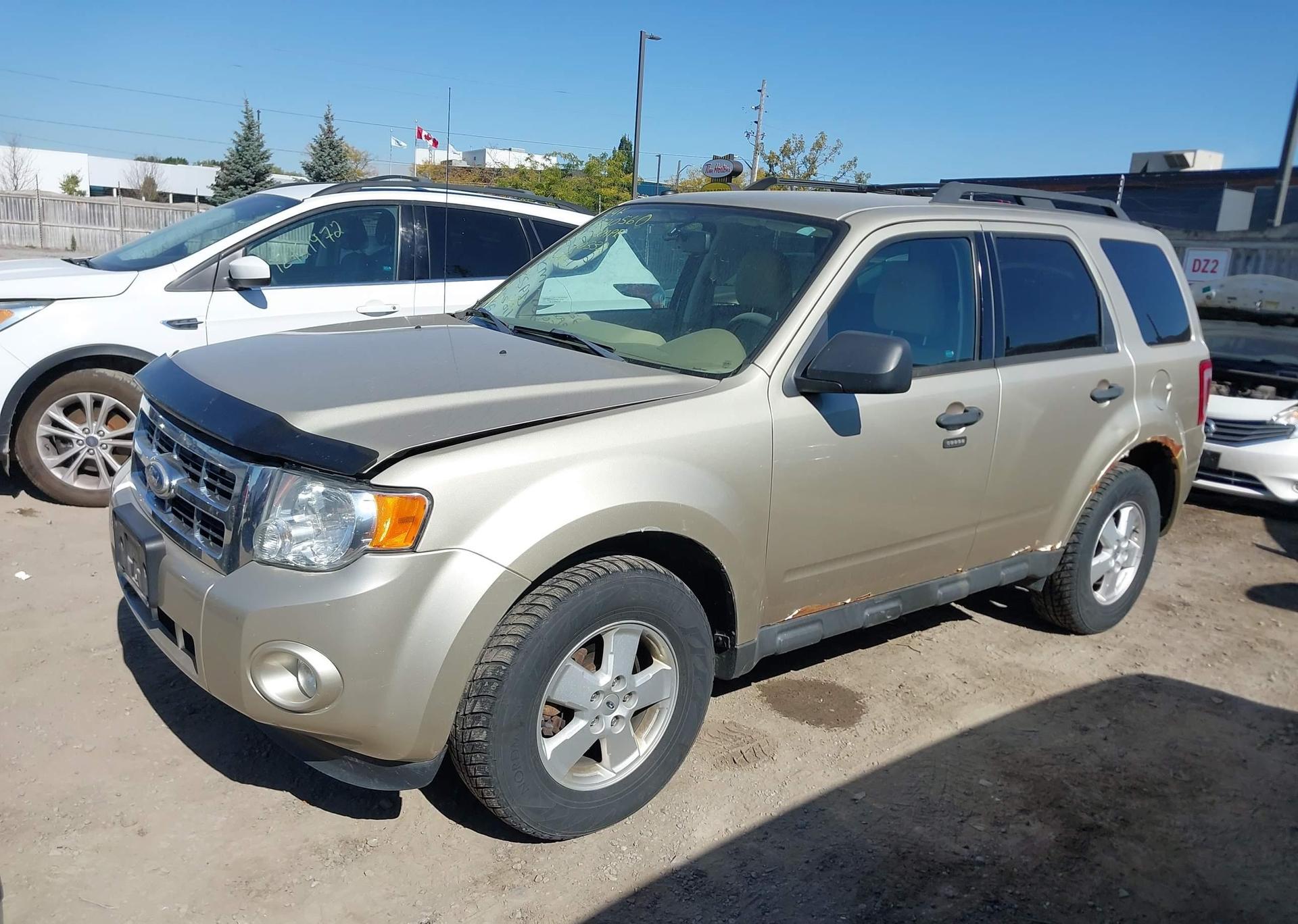 2011 FORD ESCAPE XLT