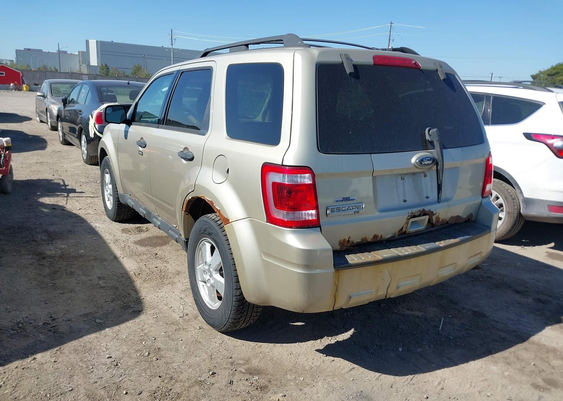 2011 FORD ESCAPE XLT