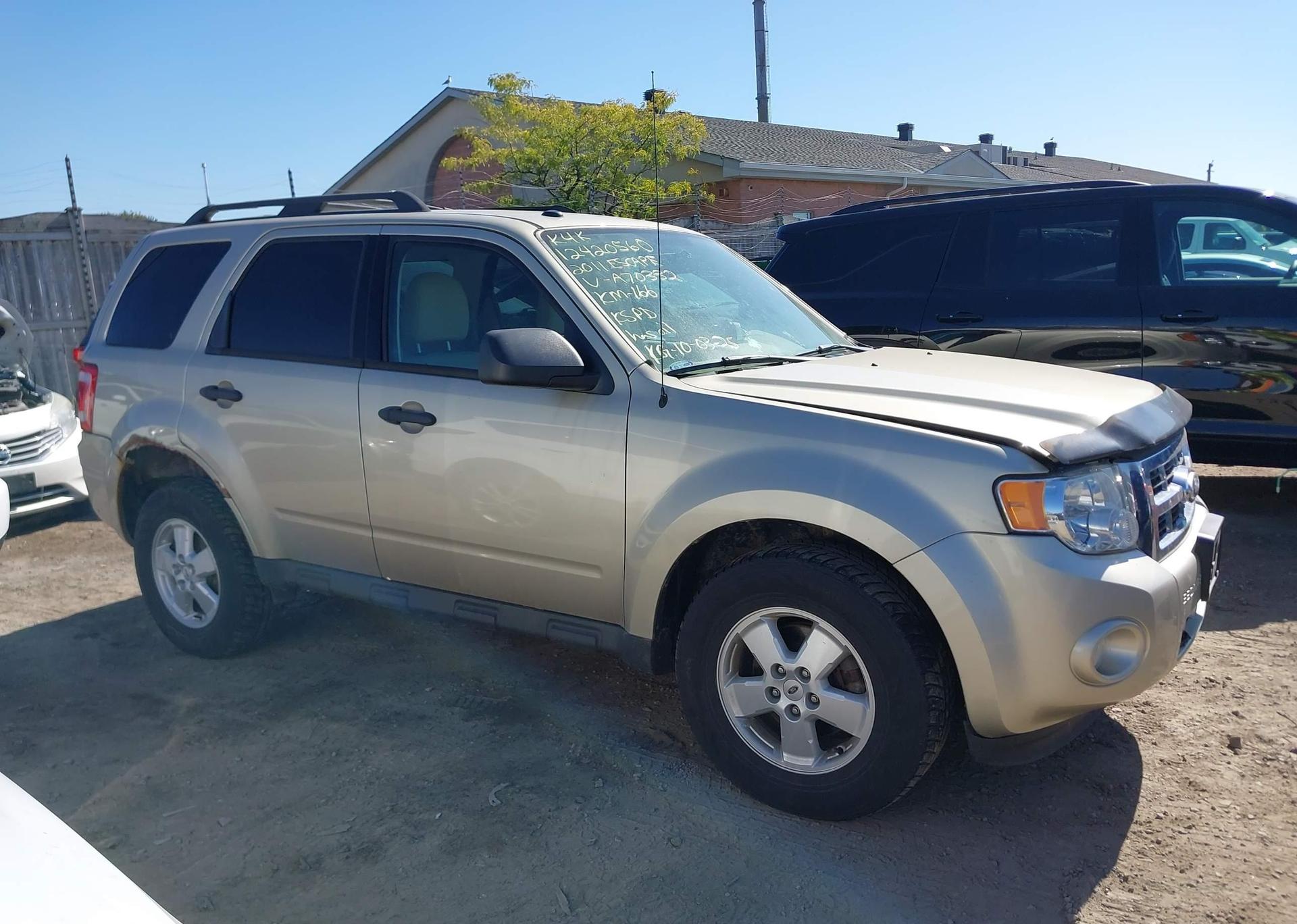 2011 FORD ESCAPE XLT