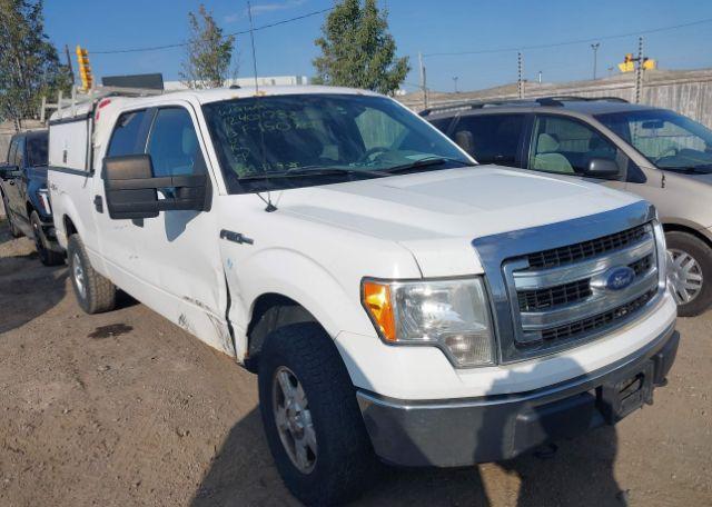 2013 FORD F-150 XLT