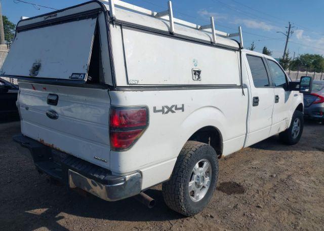 2013 FORD F-150 XLT