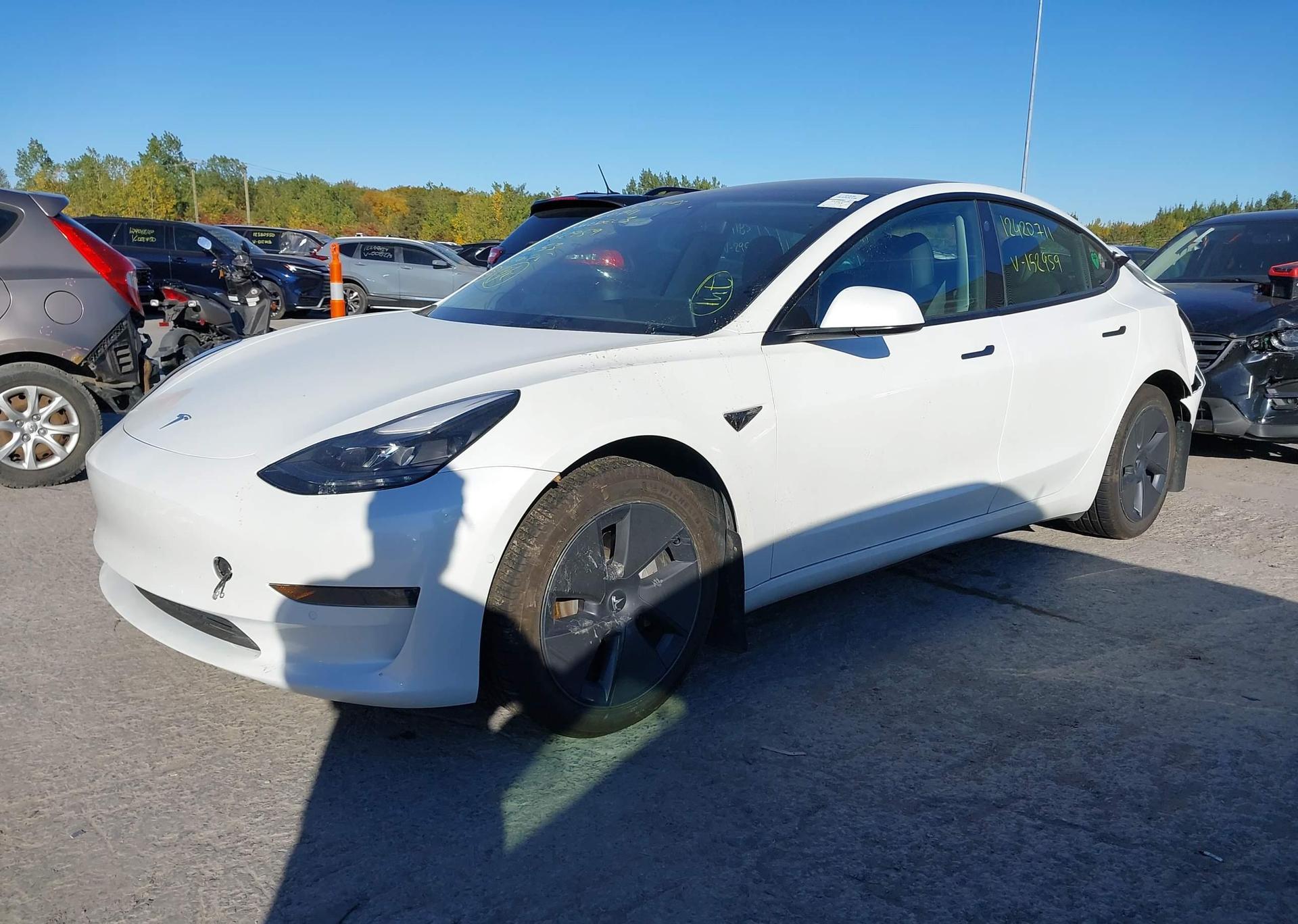2022 TESLA MODEL 3 RWD