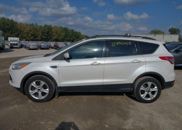 2014 FORD ESCAPE SE