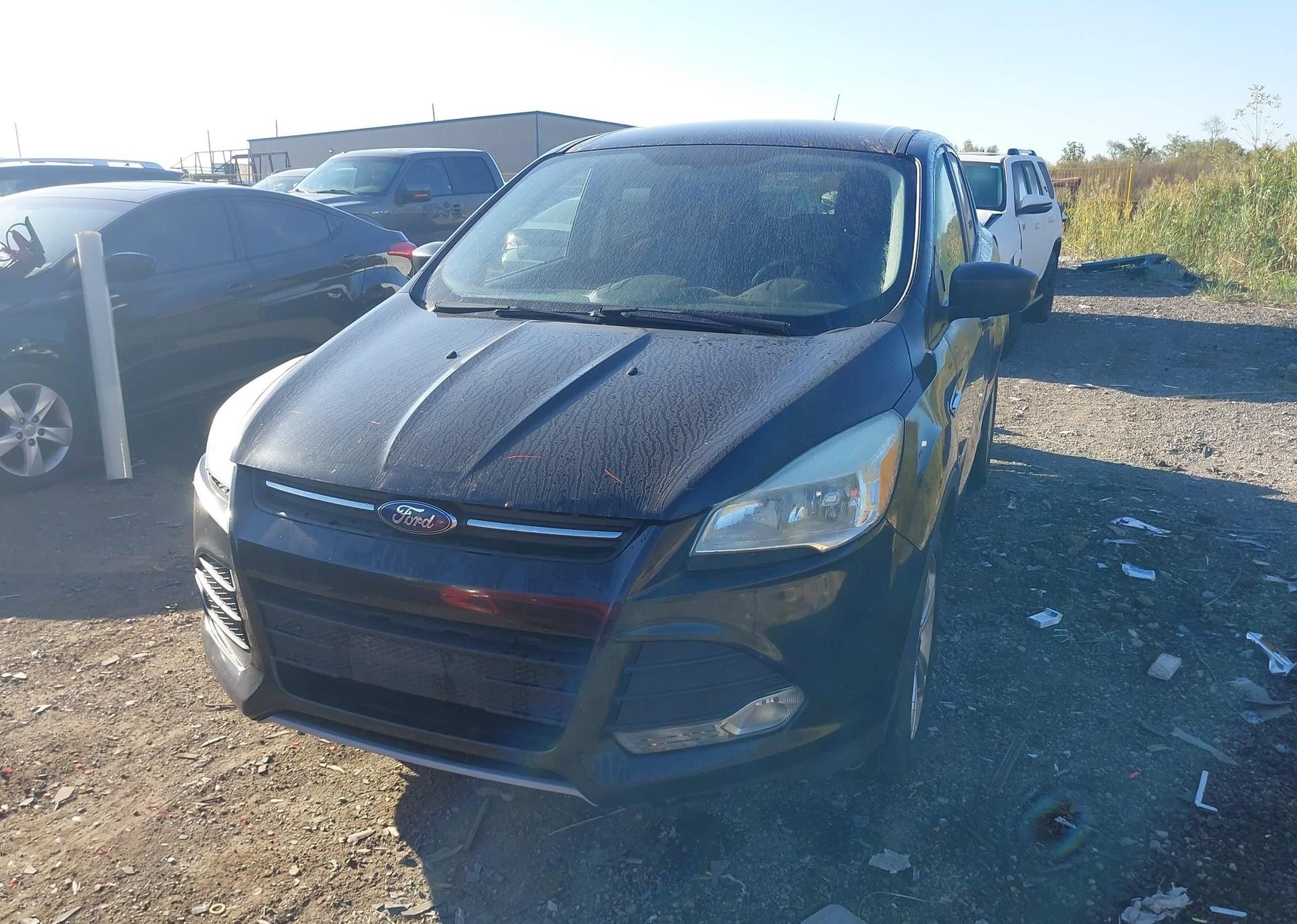 2014 FORD ESCAPE SE