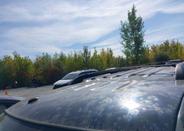 2009 FORD EXPLORER EDDIE BAUER