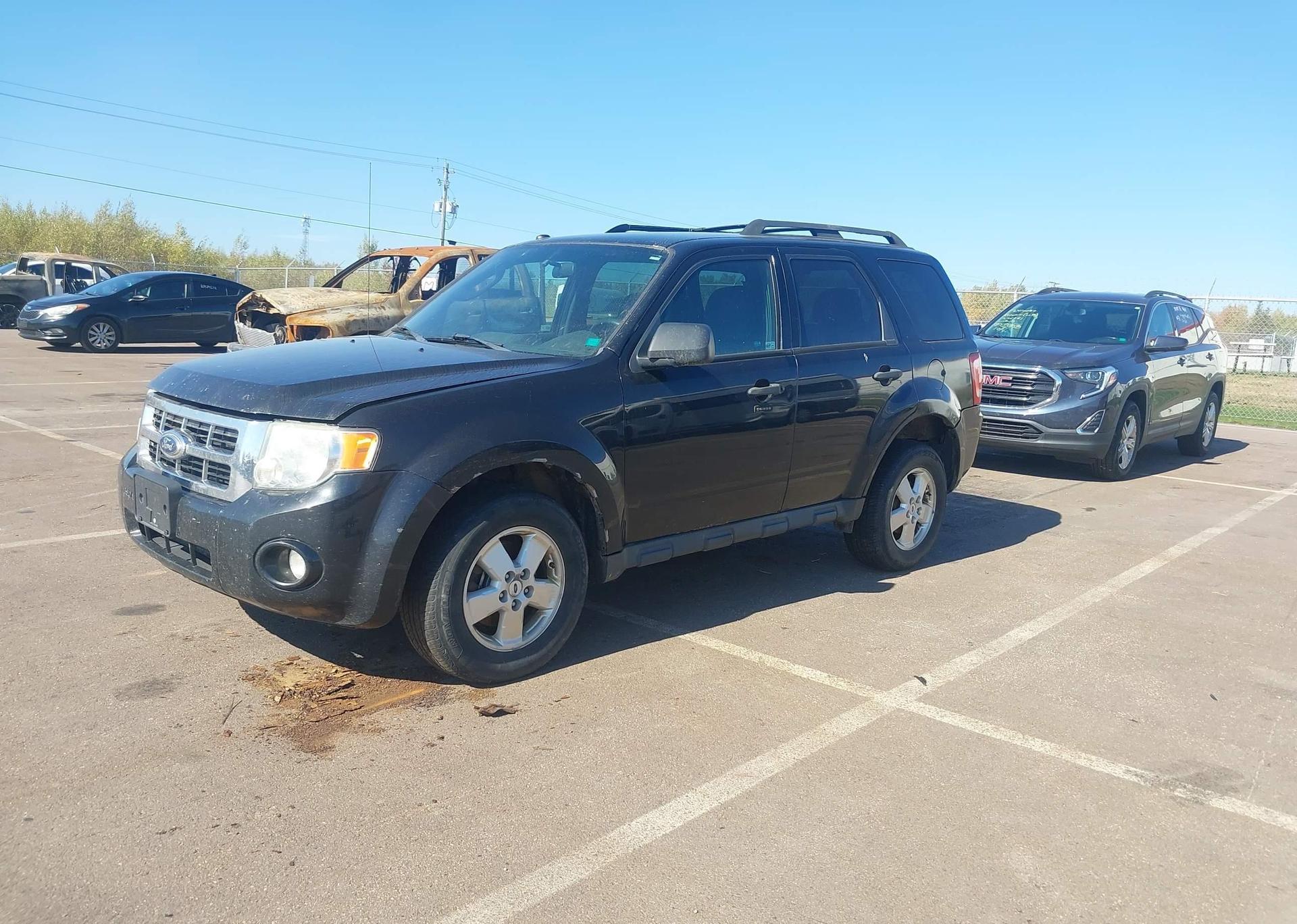 2011 FORD ESCAPE XLT