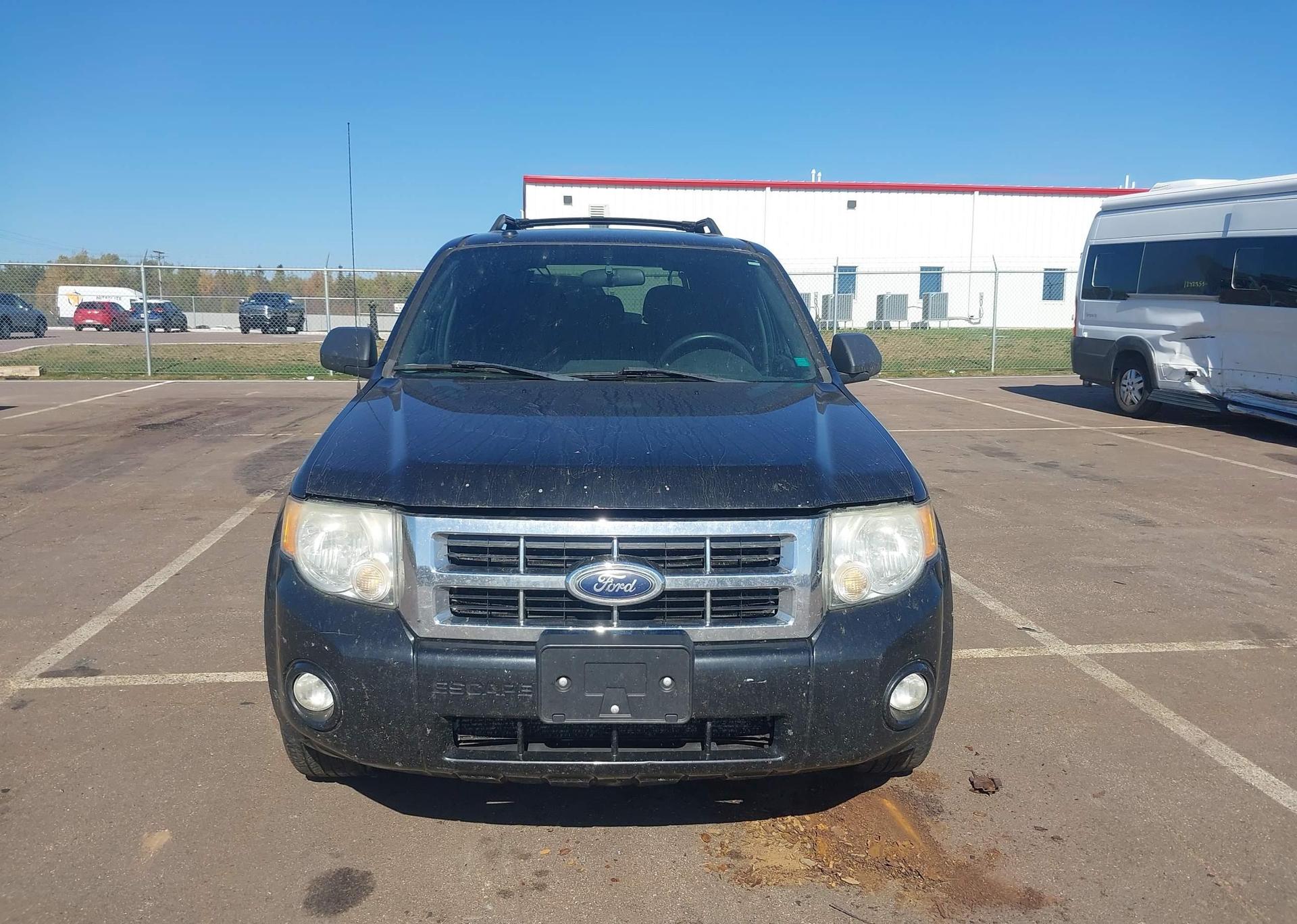 2011 FORD ESCAPE XLT