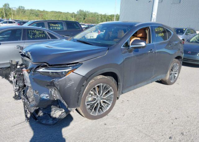 2025 LEXUS NX 350H