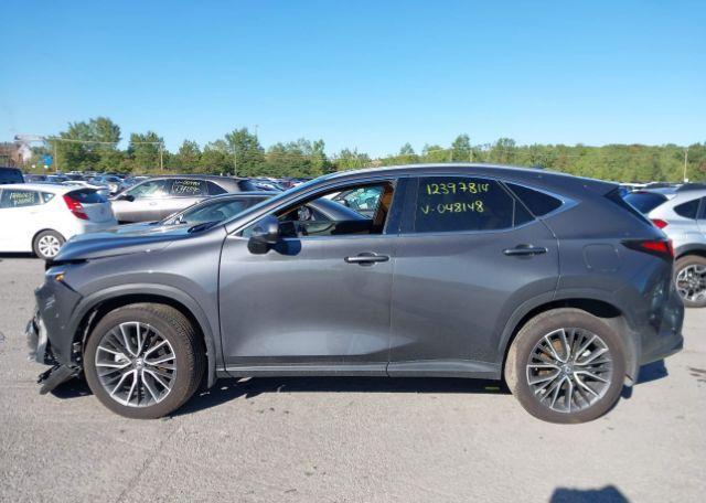 2025 LEXUS NX 350H