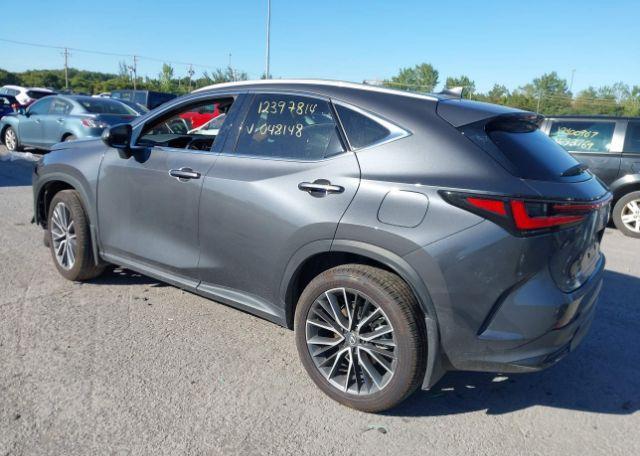 2025 LEXUS NX 350H
