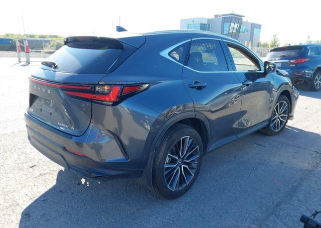 2025 LEXUS NX 350H