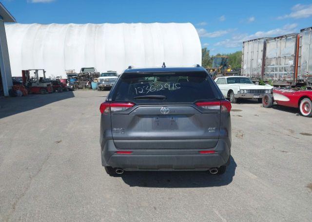 2025 TOYOTA RAV4 XLE