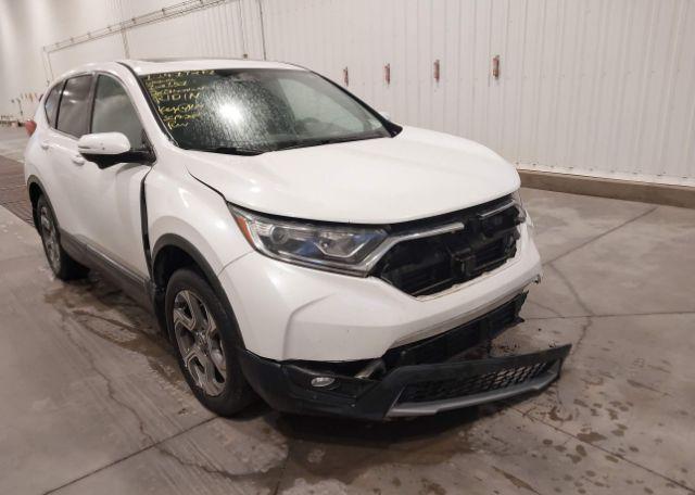 2019 HONDA CR-V EX