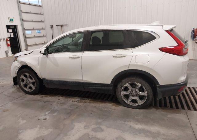 2019 HONDA CR-V EX