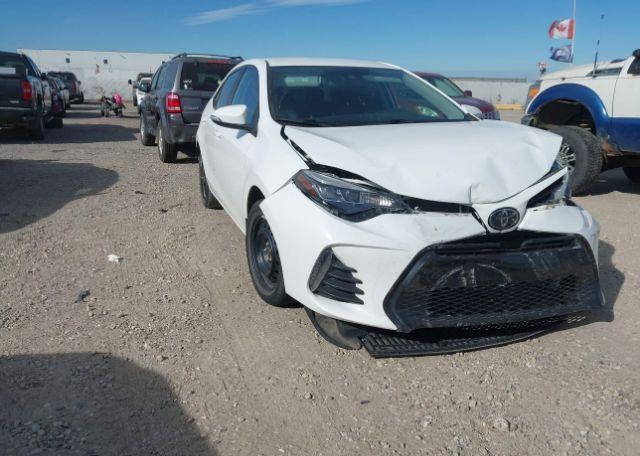 2019 TOYOTA COROLLA SE