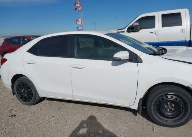 2019 TOYOTA COROLLA SE