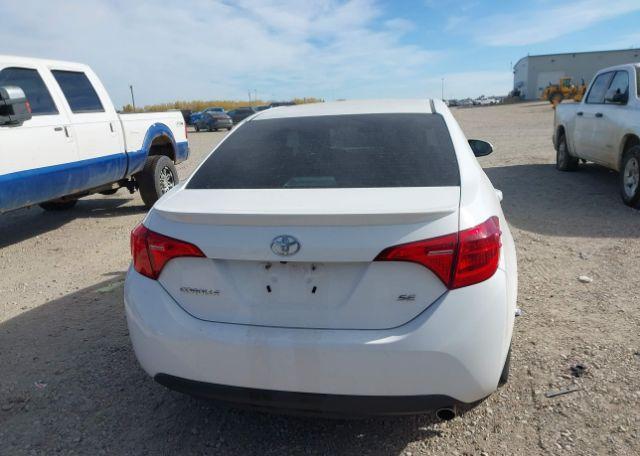 2019 TOYOTA COROLLA SE