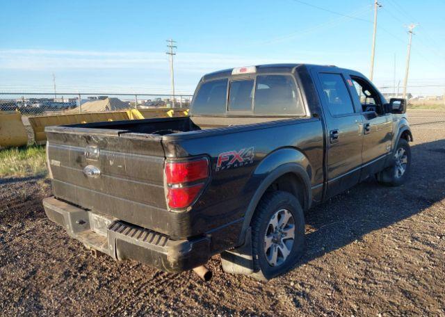 2013 FORD F-150 FX4