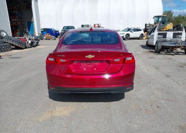 2023 CHEVROLET MALIBU 1LT