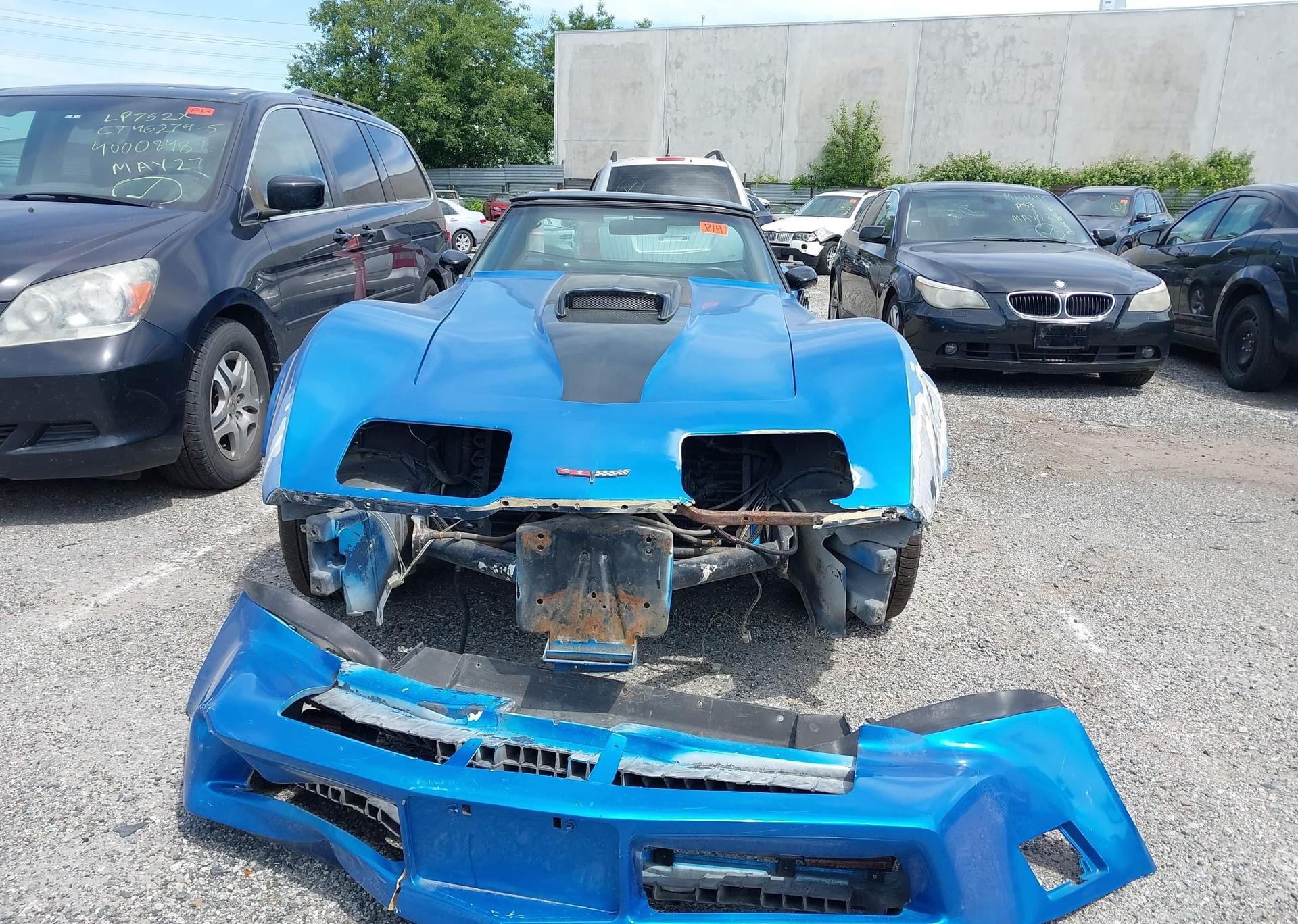 1981 CHEVROLET CORVETTE