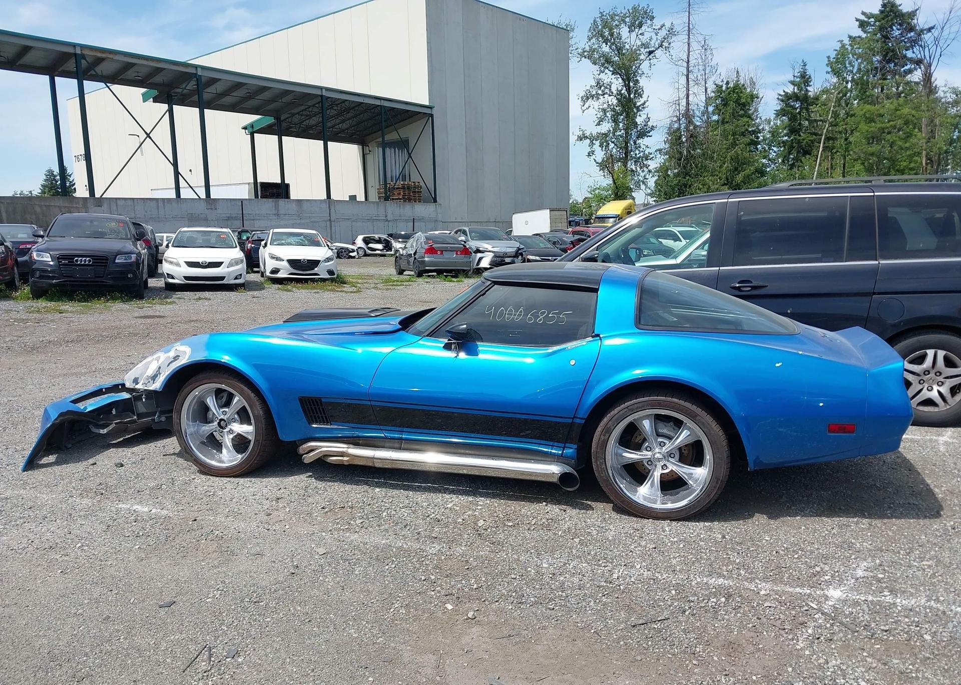 1981 CHEVROLET CORVETTE