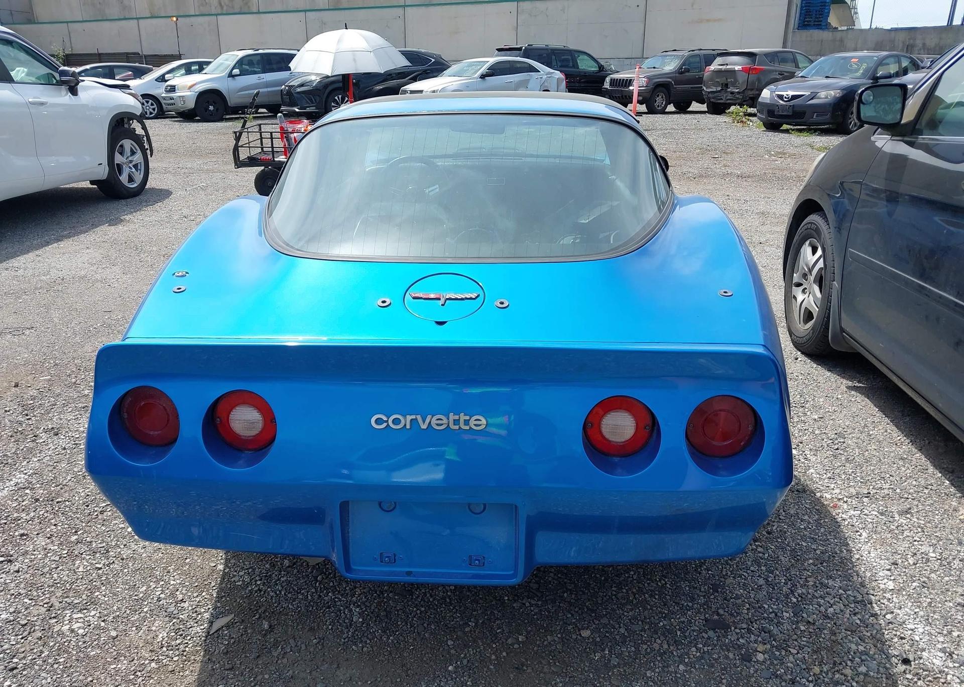 1981 CHEVROLET CORVETTE