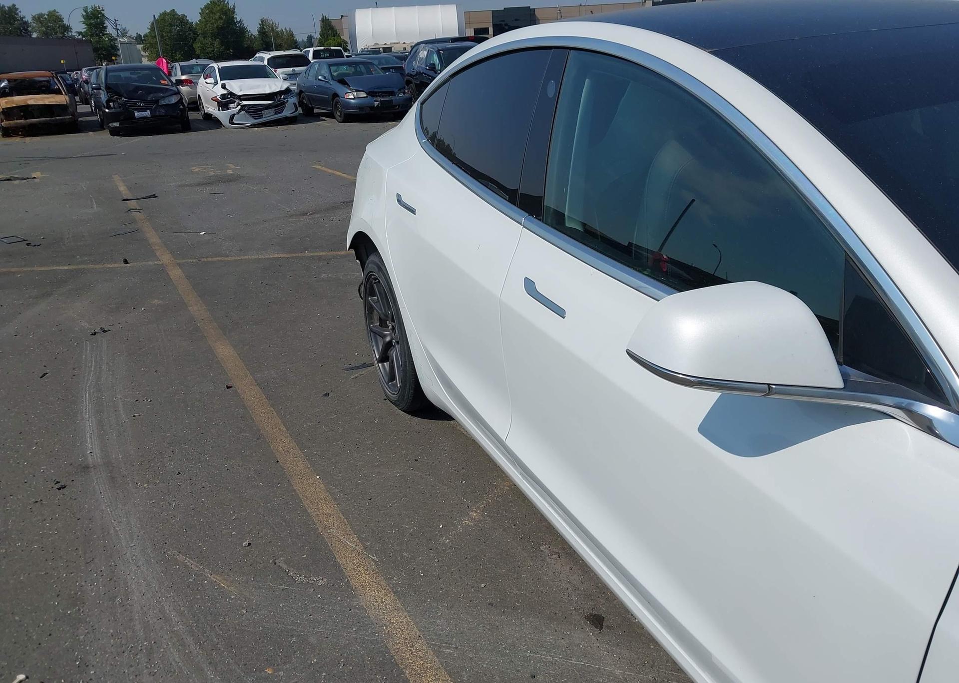 2019 TESLA MODEL 3