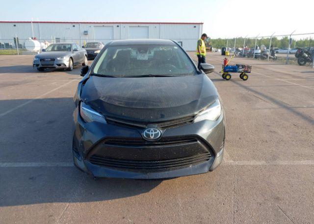 2019 TOYOTA COROLLA LE
