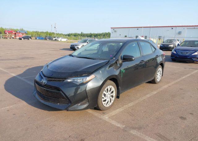 2019 TOYOTA COROLLA LE