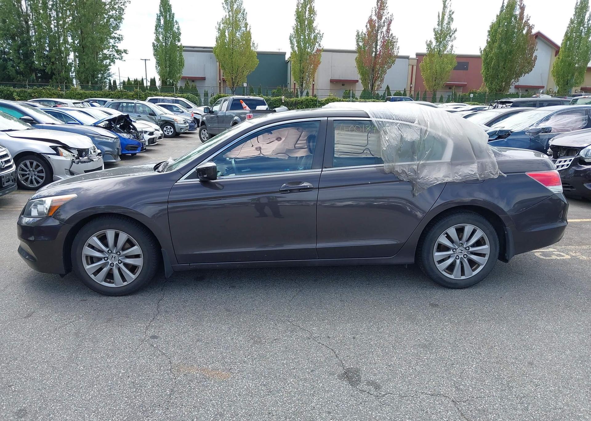 2011 HONDA ACCORD EXL