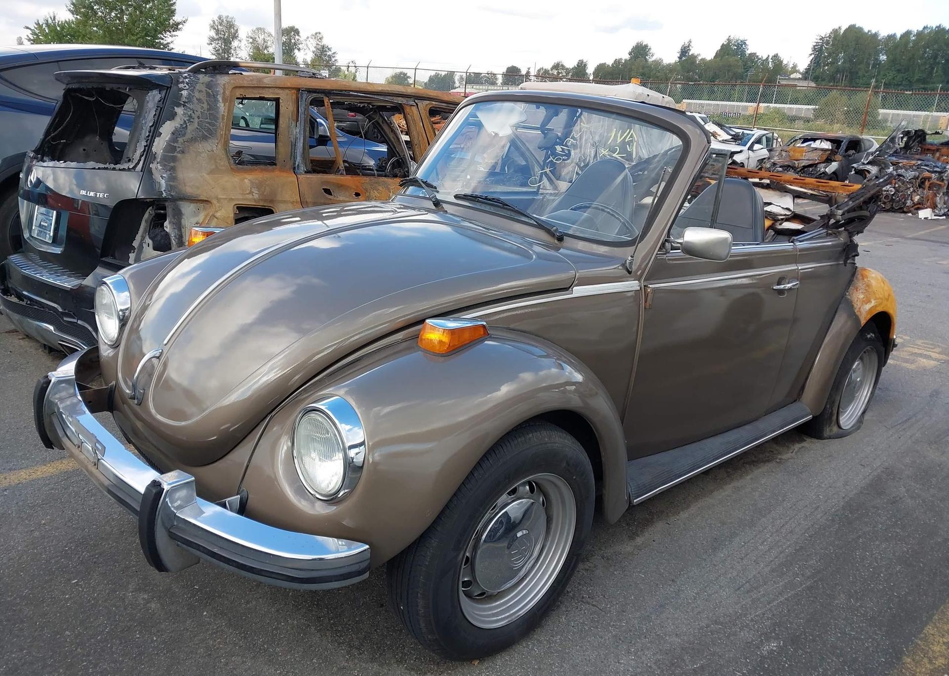 1973 VOLKSWAGEN BEETLE