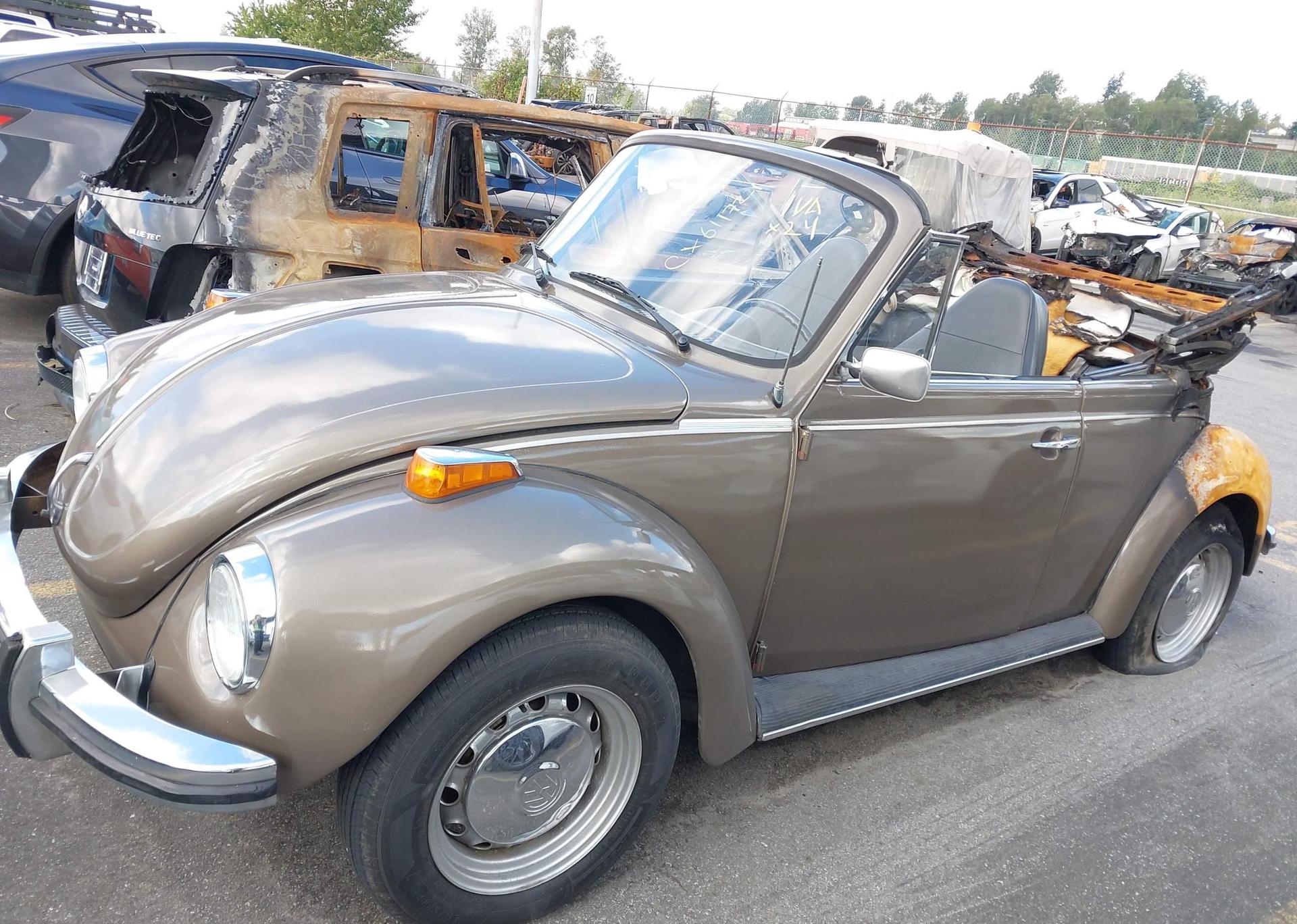 1973 VOLKSWAGEN BEETLE