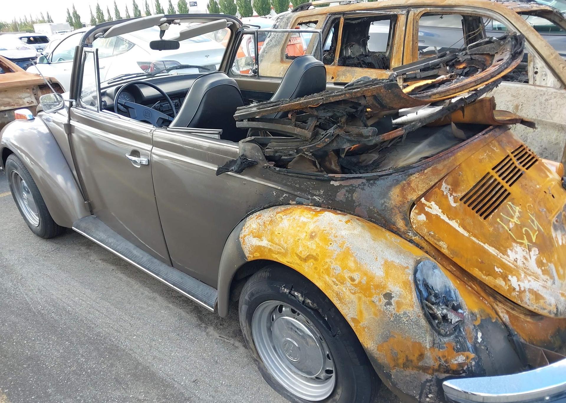 1973 VOLKSWAGEN BEETLE