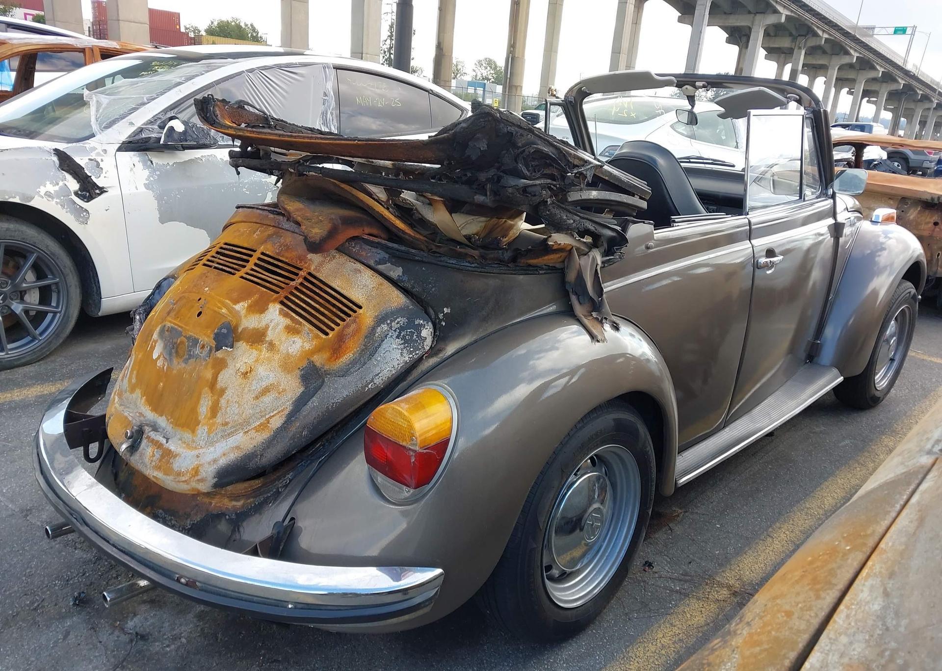 1973 VOLKSWAGEN BEETLE