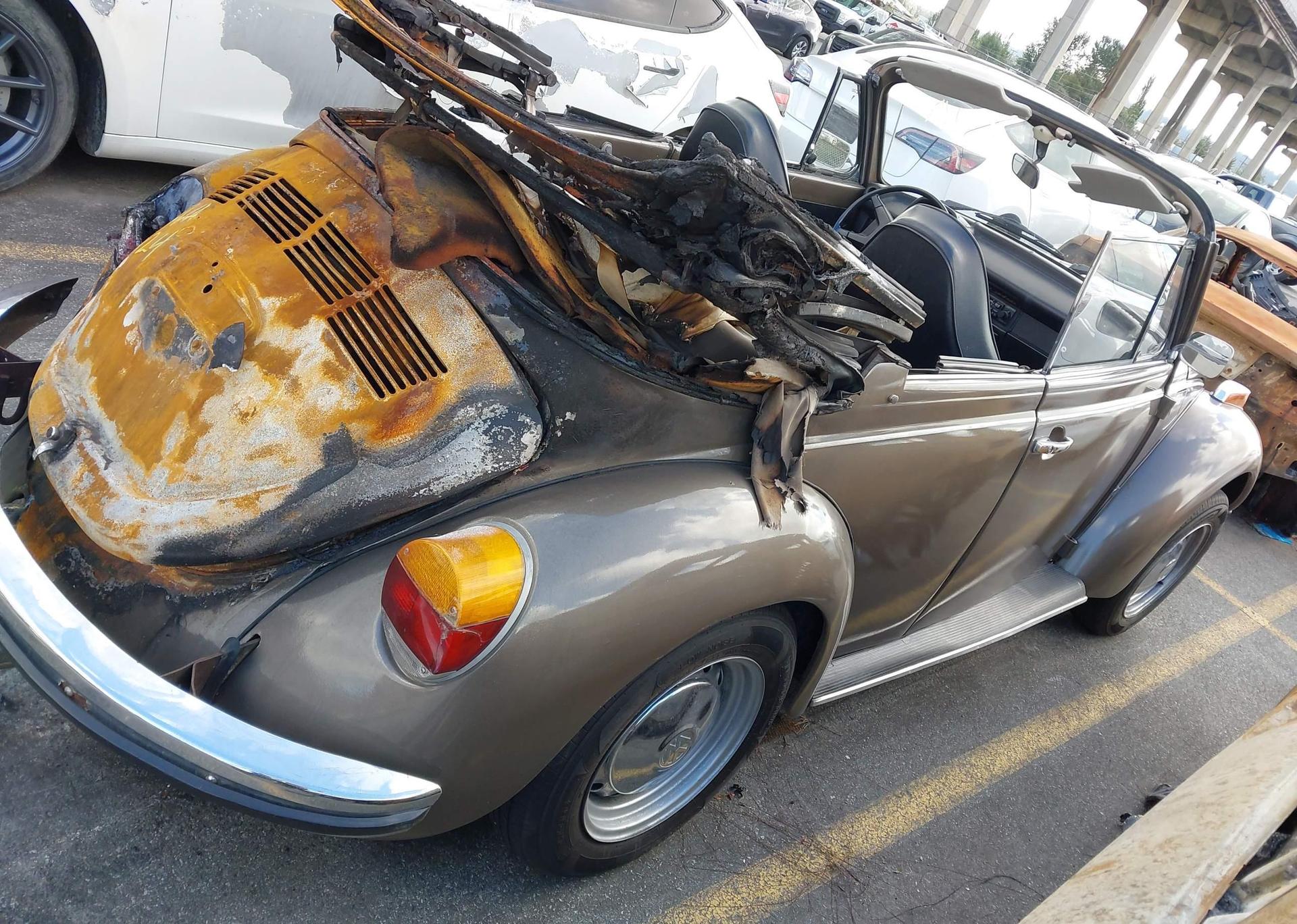 1973 VOLKSWAGEN BEETLE