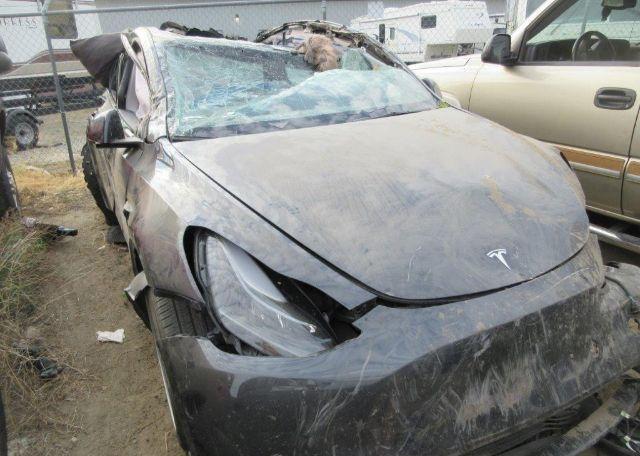 2024 TESLA MODEL Y