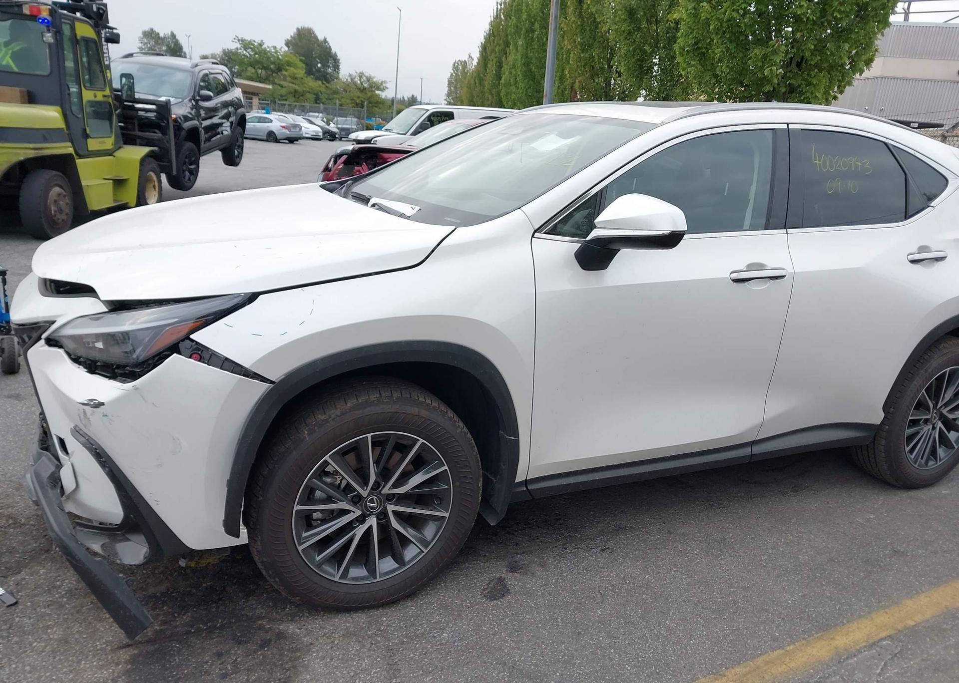 2025 LEXUS NX 450H LUXURY