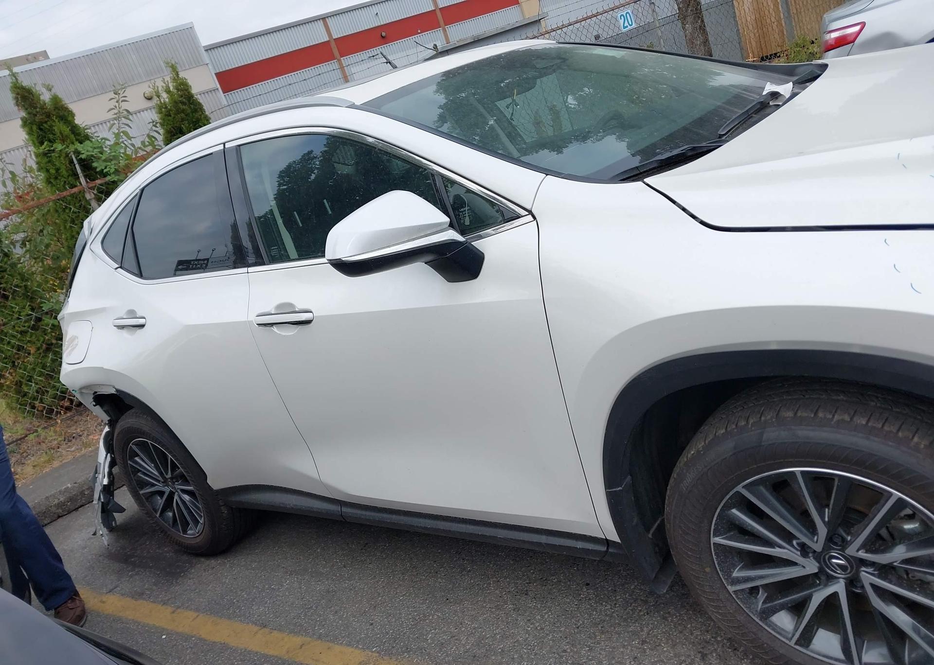2025 LEXUS NX 450H LUXURY