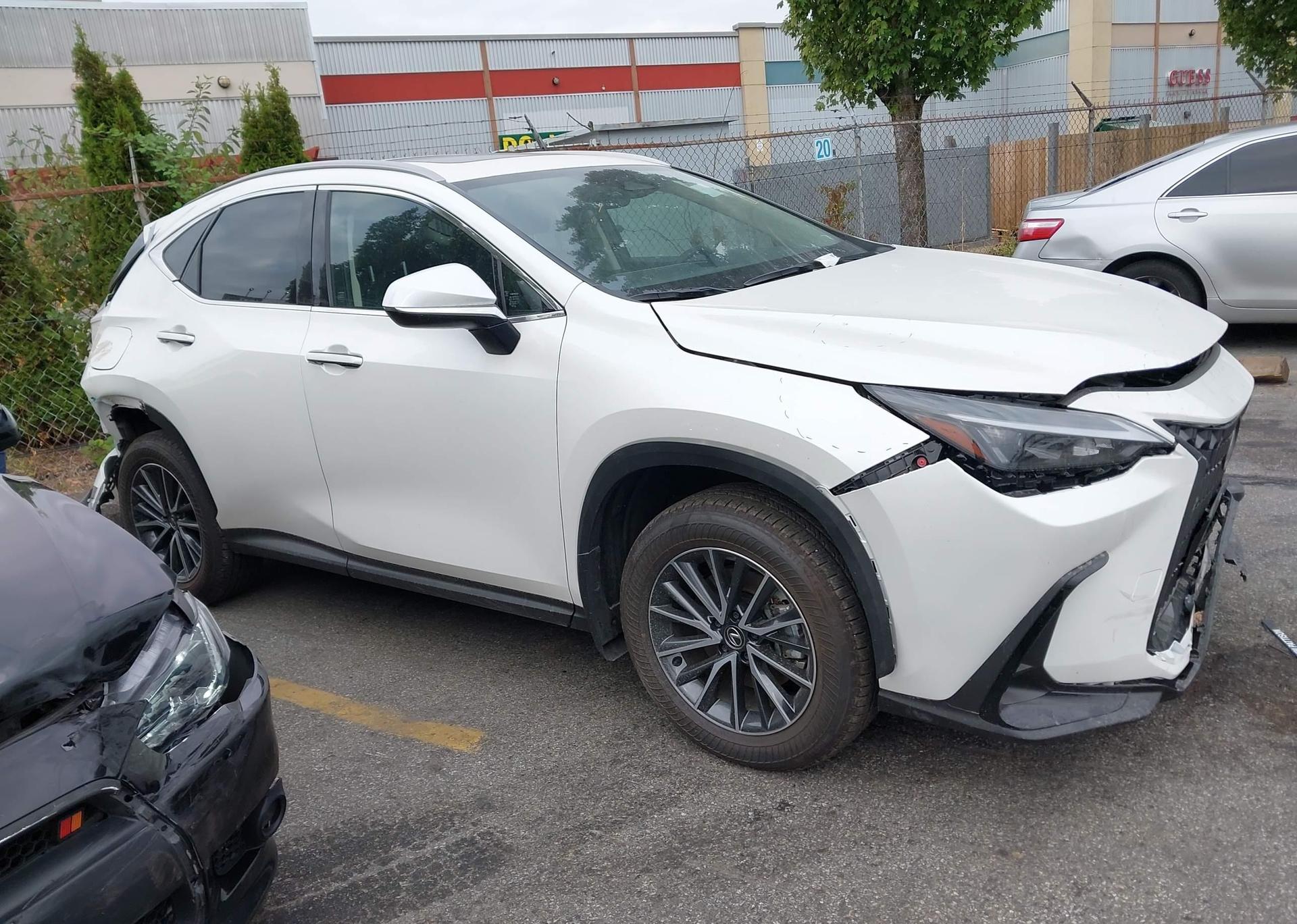 2025 LEXUS NX 450H LUXURY