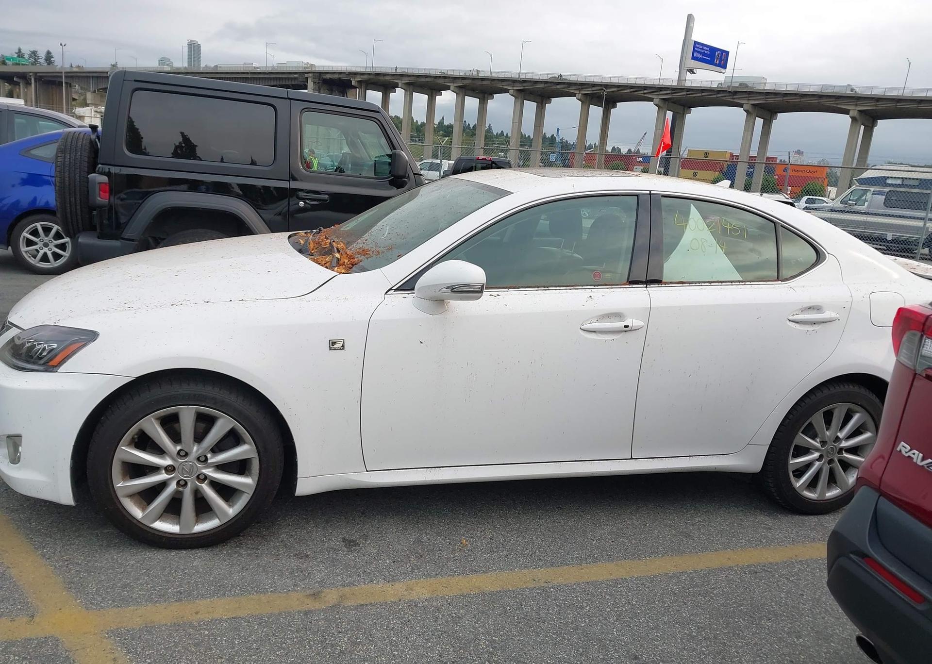 2009 LEXUS IS 250