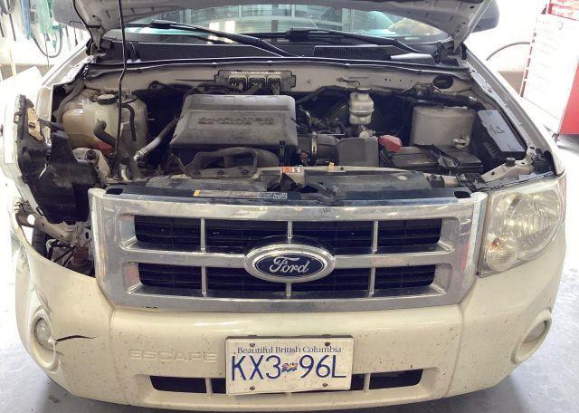 2012 FORD ESCAPE XLT
