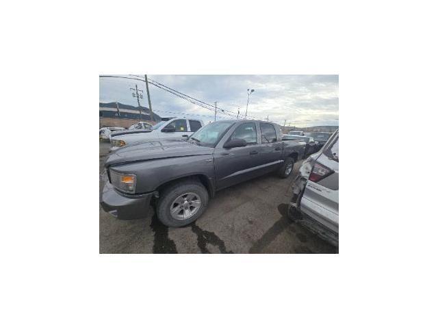 2011 RAM DAKOTA SXT