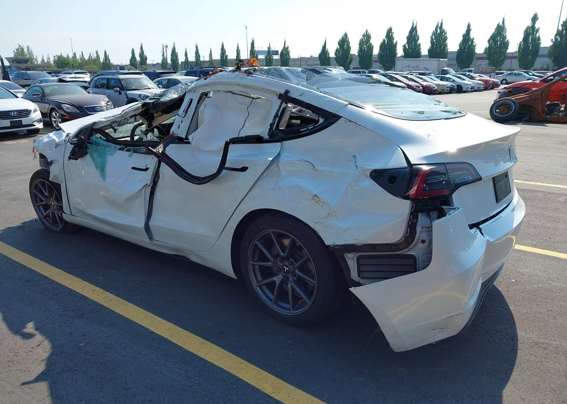2023 TESLA MODEL 3